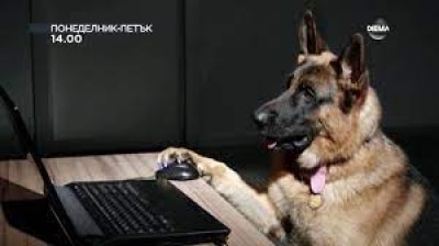 СЕРИАЛА ДОКТОР КУЙН И КОМИСАР РЕКС