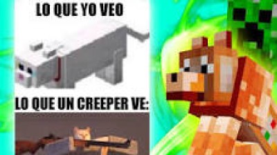 Si juegas  minecraft  entenderas estos memes