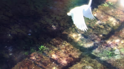 Spy x Family Episodio 22