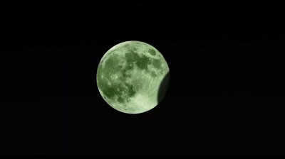 Coraline y la puerta secreta