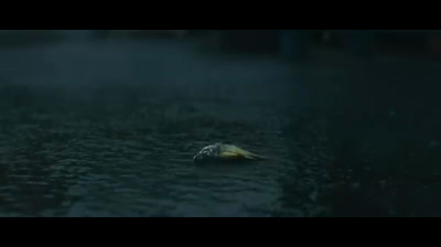 Harry Styles-Adore You