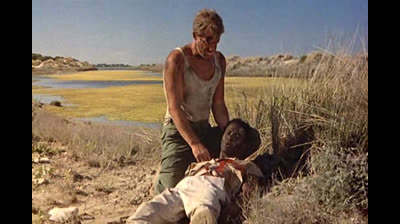 le professionnelle : belmondo