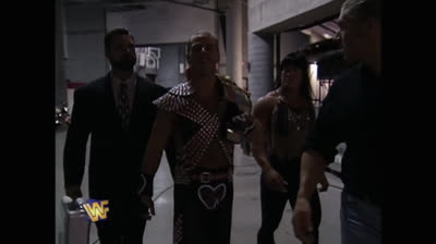 SHAWN MICHAELS VS BRET HART: WWF TITLE: SURVIVOR SERIES 97