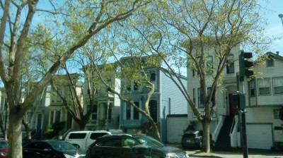BEAUTIFUL TREES AND HOMES.