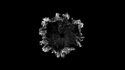 Explosion White Back