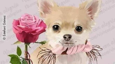 Canal Cocina Cometelo cuajadera