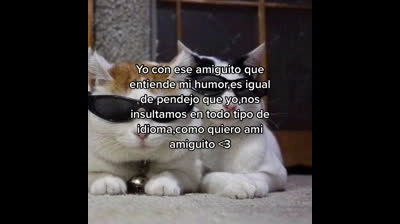 365 dias