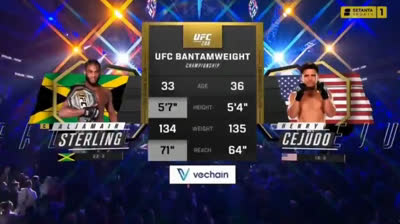 Aljamain Sterling vs Genri  Sexudo (Full Fight) - 288