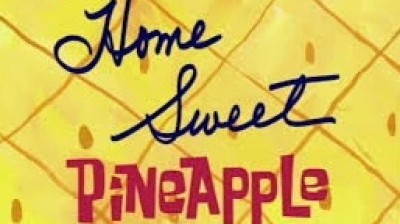 BOB ESPONJA: HOGA DULCE PIÑA  JON V,: