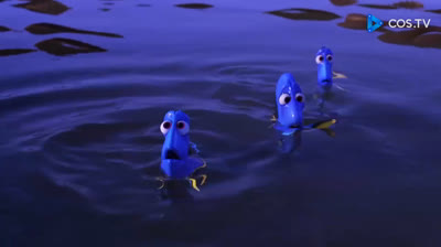 Procurando Dory @carloscrm__