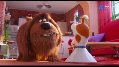 Pets – A Vida Secreta dos Bichos 2 @carloscrm__