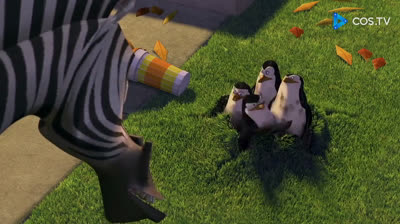 Madagascar 2005 @carloscrm__