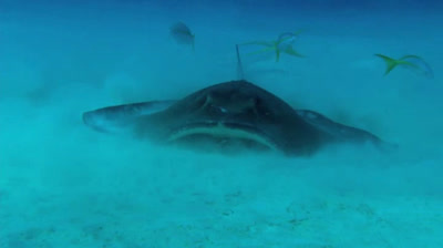 UN MUNDO MARAVILLOSO