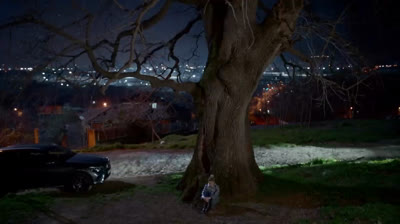 Kuzgun (Cuervo) / capitulo 23 / audio español