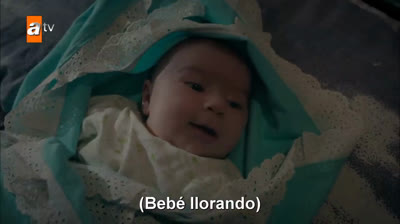 La fuerza del amor (Sevdam Alabora) / capitulo 3 / subtitulos español