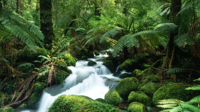 islemiet , إسلاميات