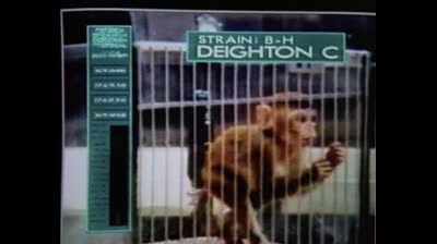 1x04 - frères de sang.