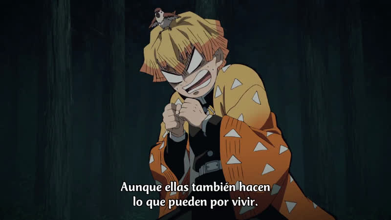 demon slayer- kimetsu no yaiba: temporada 1, episódio 17