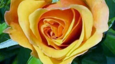 cheb Bilel ( elli bghena )