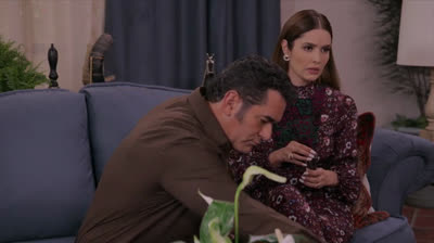 C-31 Alerta Sanitaria