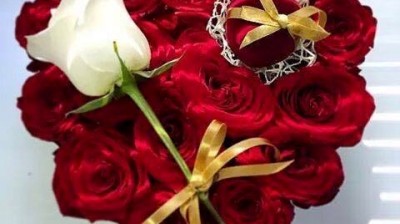 cheb Mohammed elabbessi ( 9etlouni zouj sgharet )