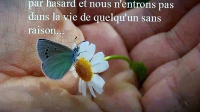 cheb Rachid ( elhob )