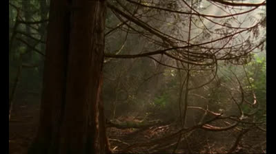 Stargate SG1 2x13 Espiritus (Castellano)