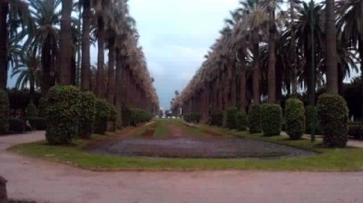 cheb Zahouani ( zid serbi )