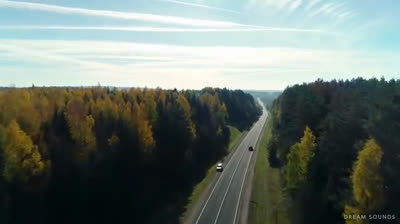 Calm Music for Mindful Walking and Nature Exploration