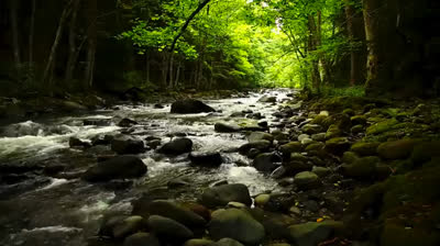Música relajante para niños: calma y sueño profundo