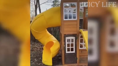 La compilación definitiva de videos graciosos que te harán reír sin parar