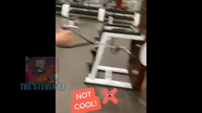 Videos graciosos que te harán olvidar tus problemas en segundos