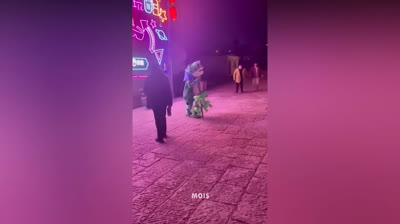 Leave the stress aside and enjoy these funny videos that will brighten your day