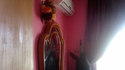 chanson arabe ( mezel tji )