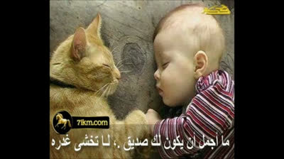 chanson arabe ( tbassi fia )