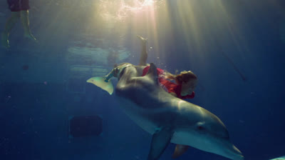 Dolphin.Tale.2.2014.720p.BRRip.XviD-HDVid