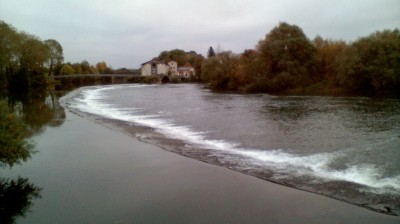 cheb Sofiane elbaydhi ( chikh 3lia )