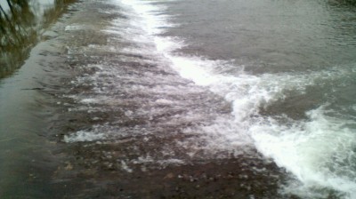 cheb Sofiane elbaydhi ( Djamila )