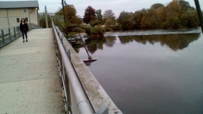 cheb Sofiane elbaydhi ( jebouha )