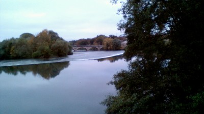 cheb Sofiane Elbaydhi ( nchouf ghir ntia )