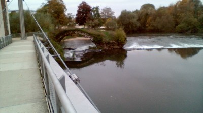 cheb Sofiane elbaydhi ( ya weld ennes )