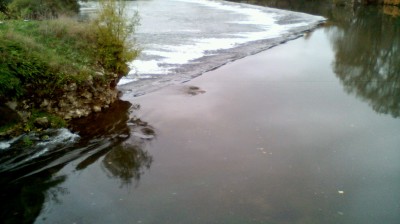 cheba Djamila ( ana mra ounos )