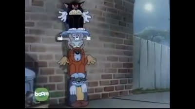 Tom and Jerry - episódio: noite dos gatos