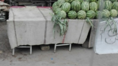 nature  ,  طبيعة