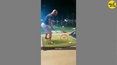 Los mejores videos de risa para alegrar tu día: ¡no pararás de reír!