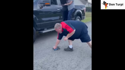 You Won't Be Able to Contain Your Laughter! The Most Viral Funny Videos