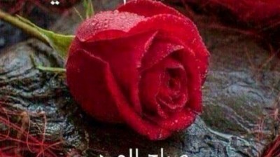 Vidéo hhhh , فيديو هاهاها