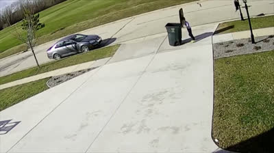 Instant Laughs! Don't Miss These Short Comedy Videos