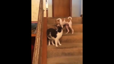 Take a Break in Your Day and Laugh with These Short Comedy Videos