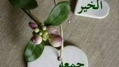 Vidéo hhhh , فيديو هاهاها